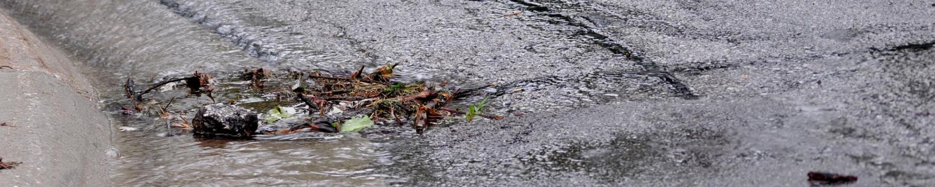 Clogged Road Drain Image