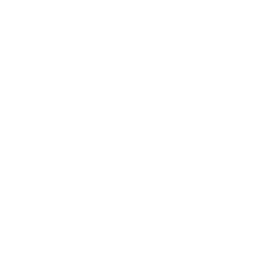 Large White Election Icon